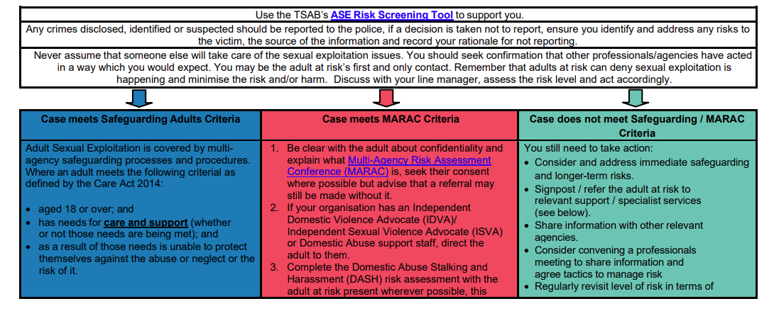 Adult Sexual Exploitation Toolkit
