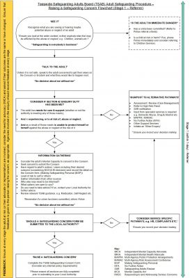 TSAB Adult SG Raising a Concern Flowchart - Stage 1 Final v2