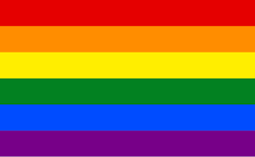 Multicoloured flag representing LGBT+